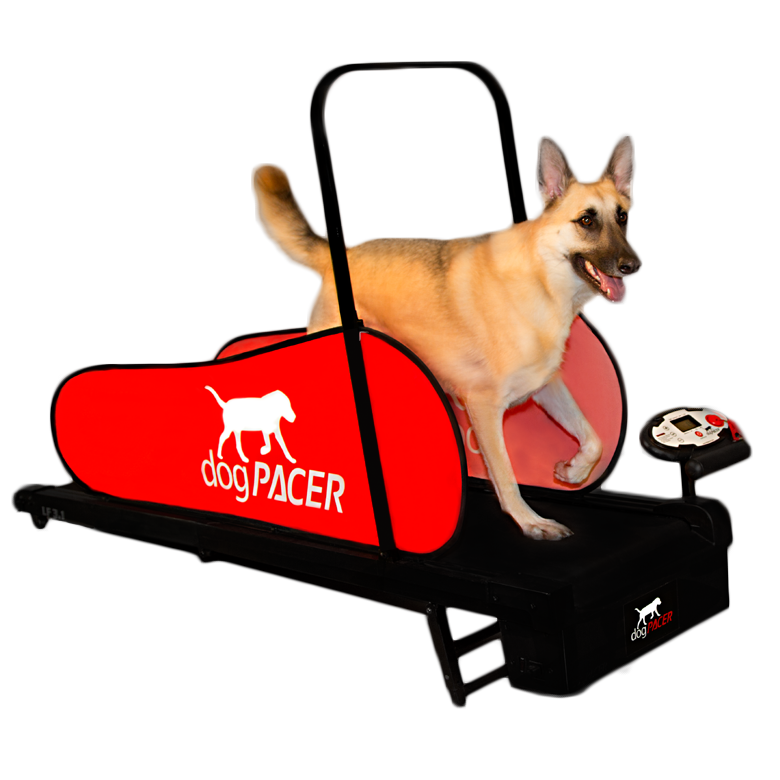 dogPACER LF 3.1