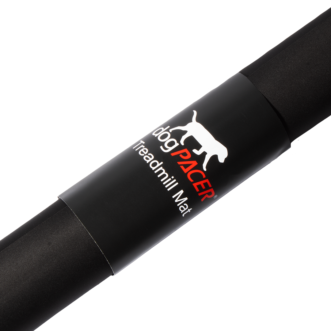 dogPACER Treadmill Mat