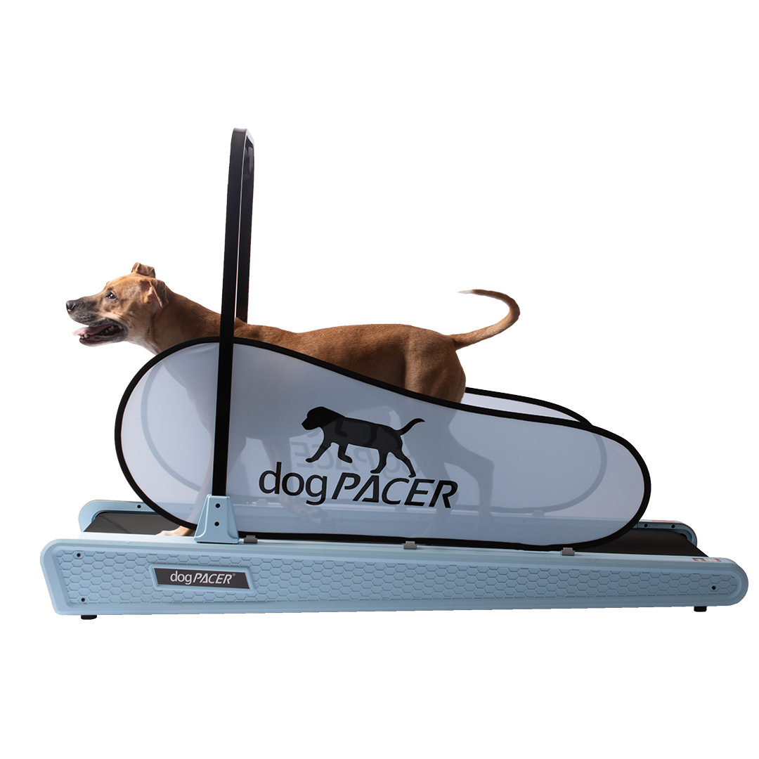 BRAND NEW dogPACER SE - dogPACER