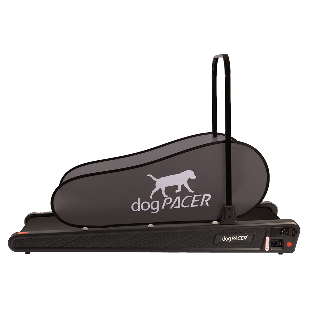 BRAND NEW dogPACER SE - dogPACER