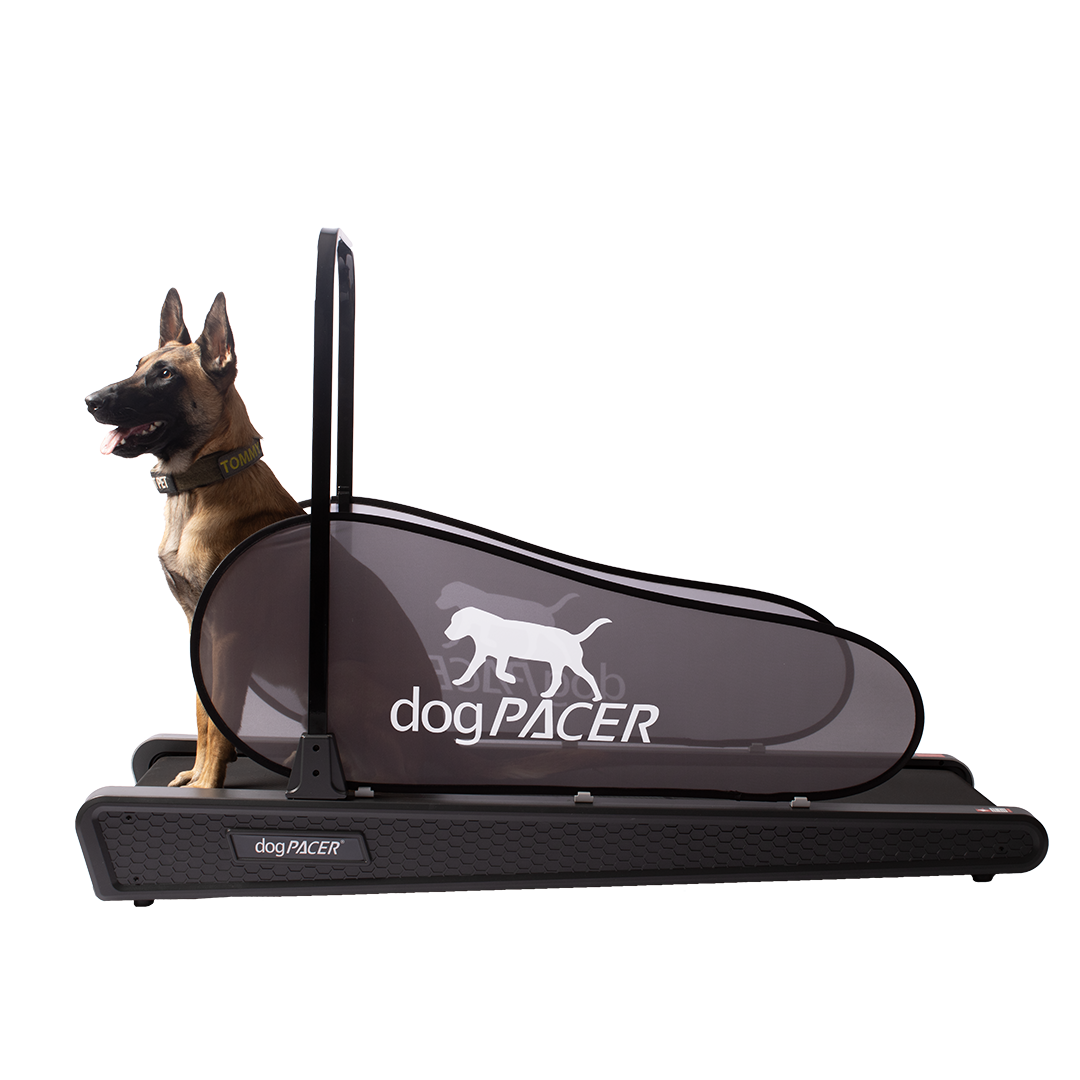 BRAND NEW dogPACER SE - dogPACER
