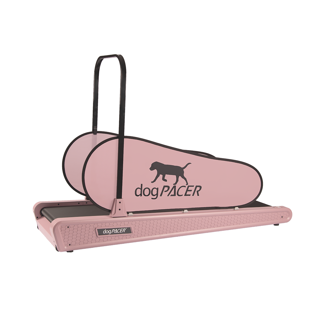 BRAND NEW dogPACER SE - dogPACER