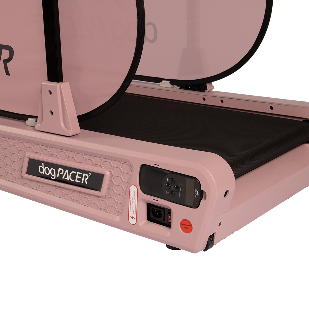 BRAND NEW dogPACER SE - dogPACER