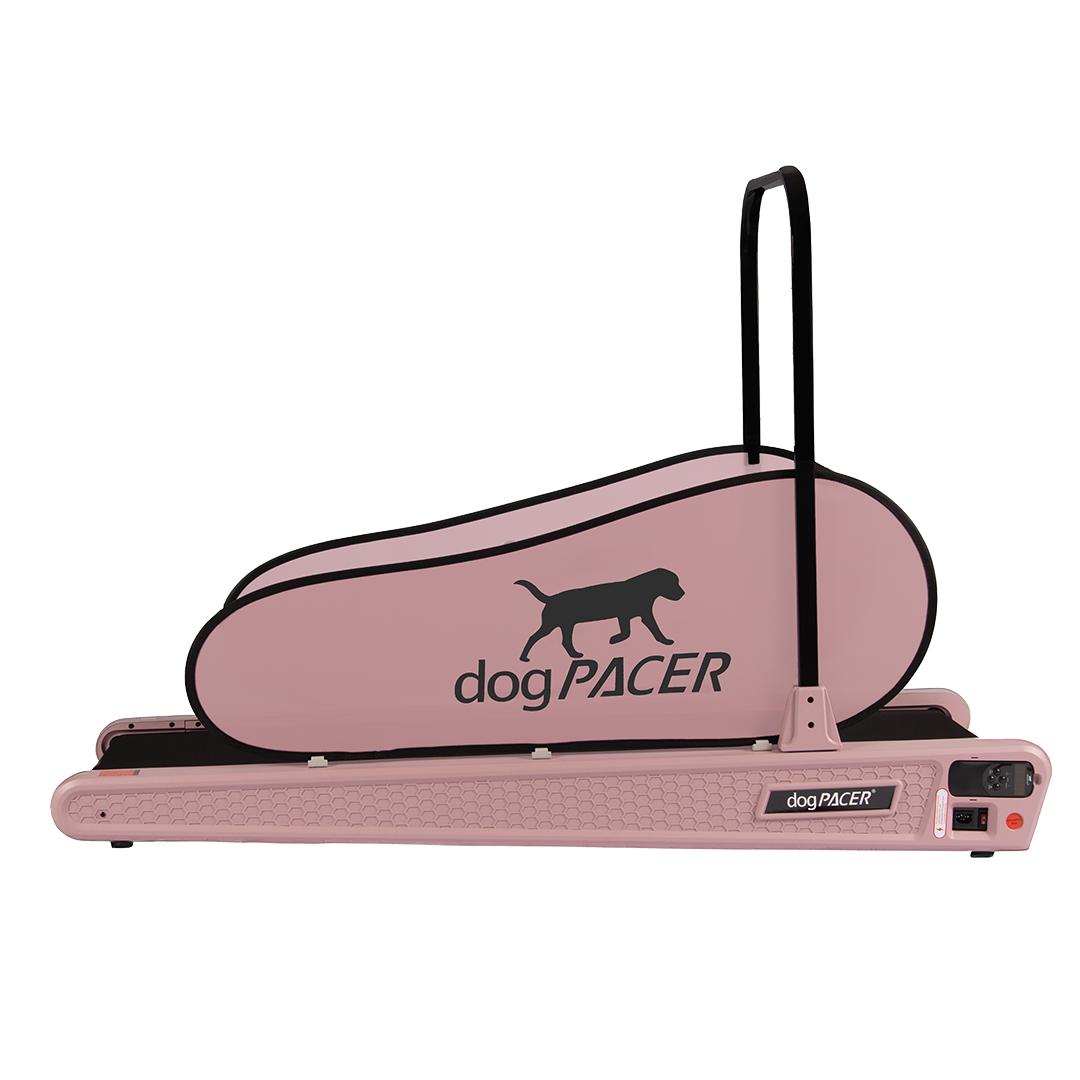 BRAND NEW dogPACER SE - dogPACER