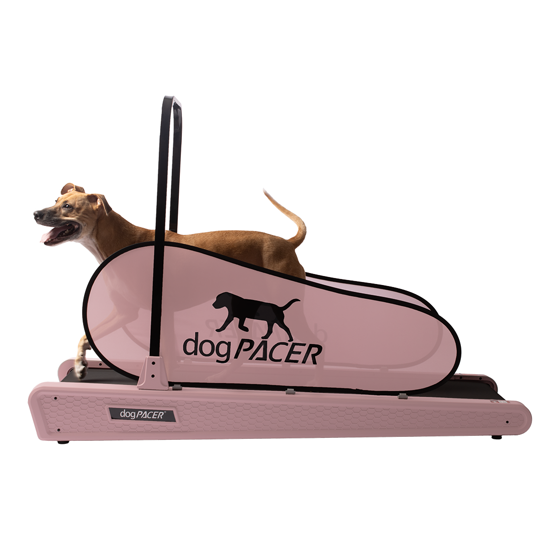 BRAND NEW dogPACER SE - dogPACER