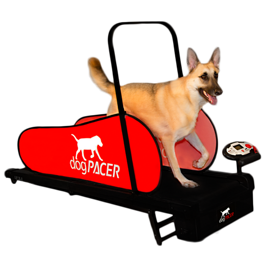 dogPACER LF 3.1