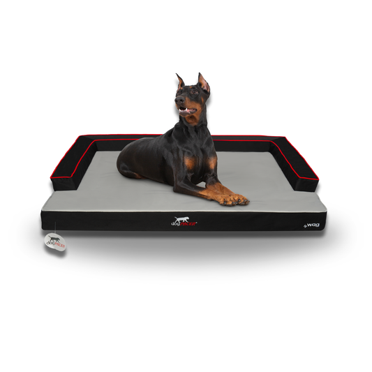 dogPACER XR Extreme Recovery Indoor/Outdoor Dog Bed