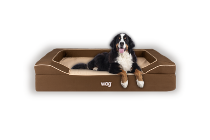 Wag Luxe Giant Dreamer Dog Bed
