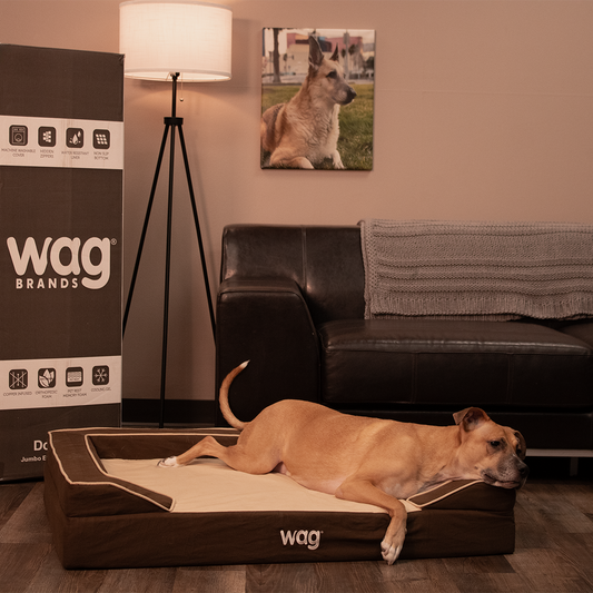 Wag Luxe Dog Bed