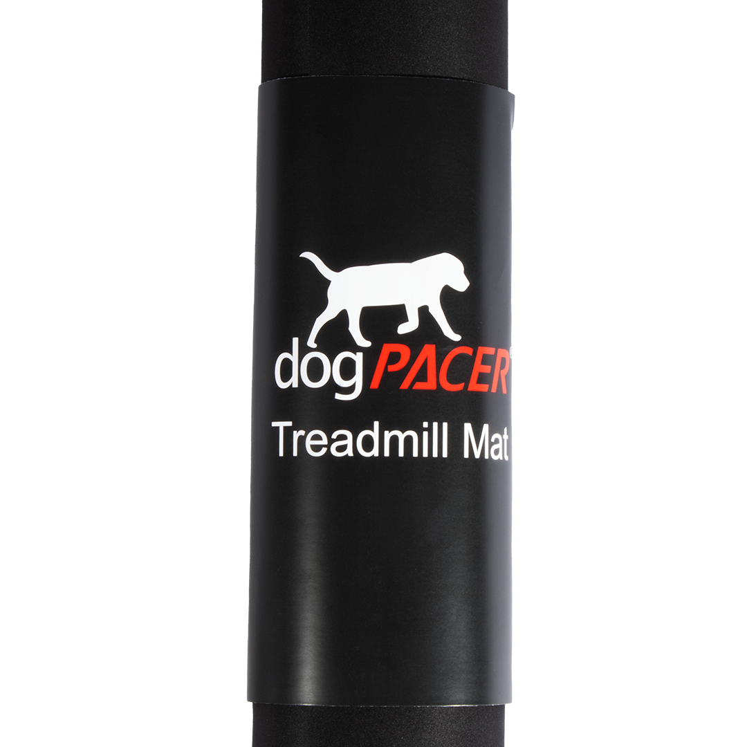 dogPACER Treadmill Mat
