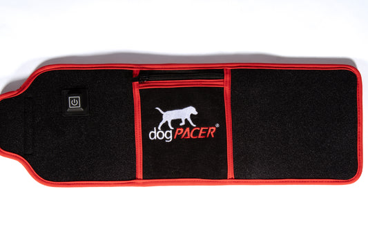 PREORDER – dogPACER Red Light Therapy Belt