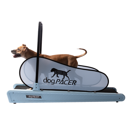 BRAND NEW dogPACER SE - dogPACER