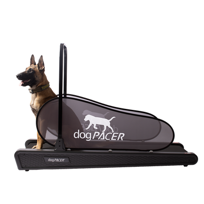 BRAND NEW dogPACER SE - dogPACER