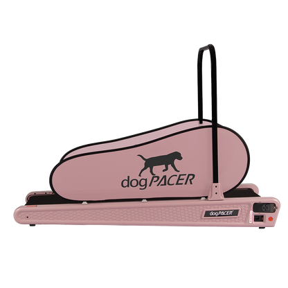 BRAND NEW dogPACER SE - dogPACER