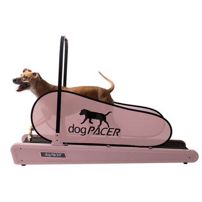 BRAND NEW dogPACER SE - dogPACER