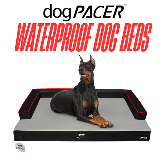 dogPACER XR Extreme Recovery Indoor/Outdoor Dog Bed