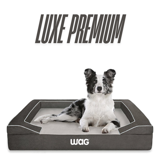 Wag Luxe Dog Bed