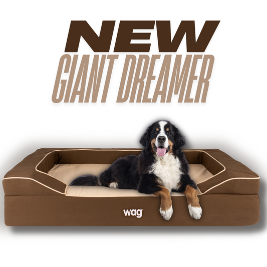 Wag Luxe Giant Dreamer Dog Bed