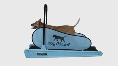 BRAND NEW dogPACER SE - dogPACER